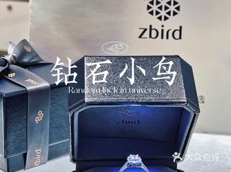 耐人寻味独一无二的钻戒｜钻石小鸟zbird
