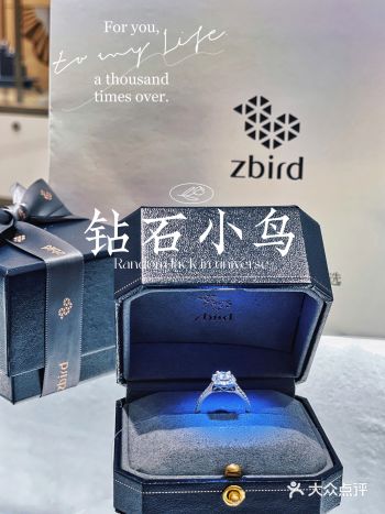 耐人寻味独一无二的钻戒｜钻石小鸟zbird