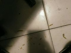 -千纸鹤嫩汁烤肉(学府店)