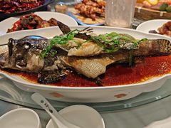 -小螺号海鲜·地道鲁菜(泉城广场店)