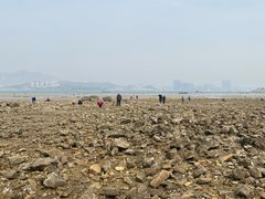 -青岛银沙滩温德姆至尊酒店