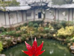 -沧浪亭