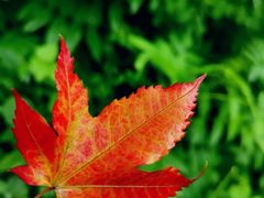 -人民广场-地下停车场