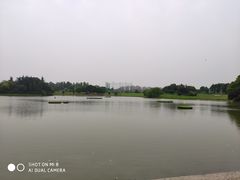 -银涛高尔夫练习场(徐泾店)