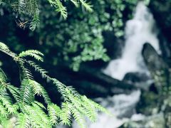 -藏龙百瀑风景区