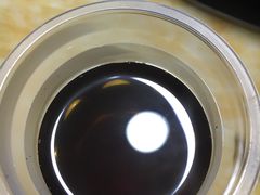 -石灰市毛记烧鸡公(解放碑店)