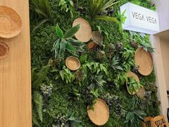 -VEGA VEGA 我行我素