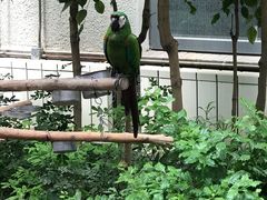 -南宫五洲植物乐园