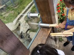 -横道河子东北虎林园