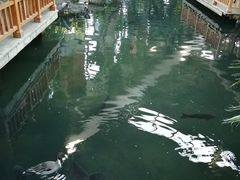 景点-世界地热博览园