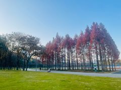 -尚贤河湿地