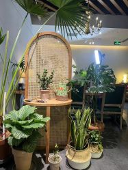 -芳香乐府疗愈空间·SPA·冥想