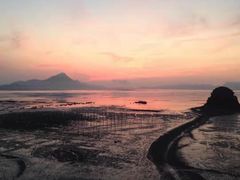 -北岐滩涂