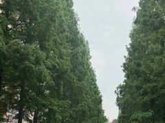 -古真记钵钵鸡(总店)