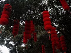 -房湖公园
