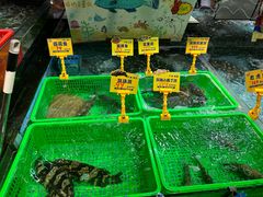 -79号渔船海鲜饭店(宝安店)