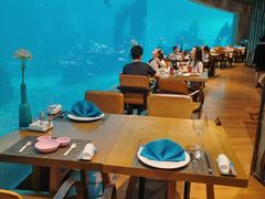 -海棠湾洲际-涛·海底餐厅·美人鱼·自助餐·海底隧道