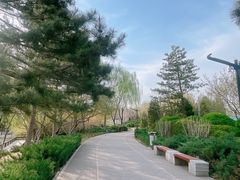 -北坞公园