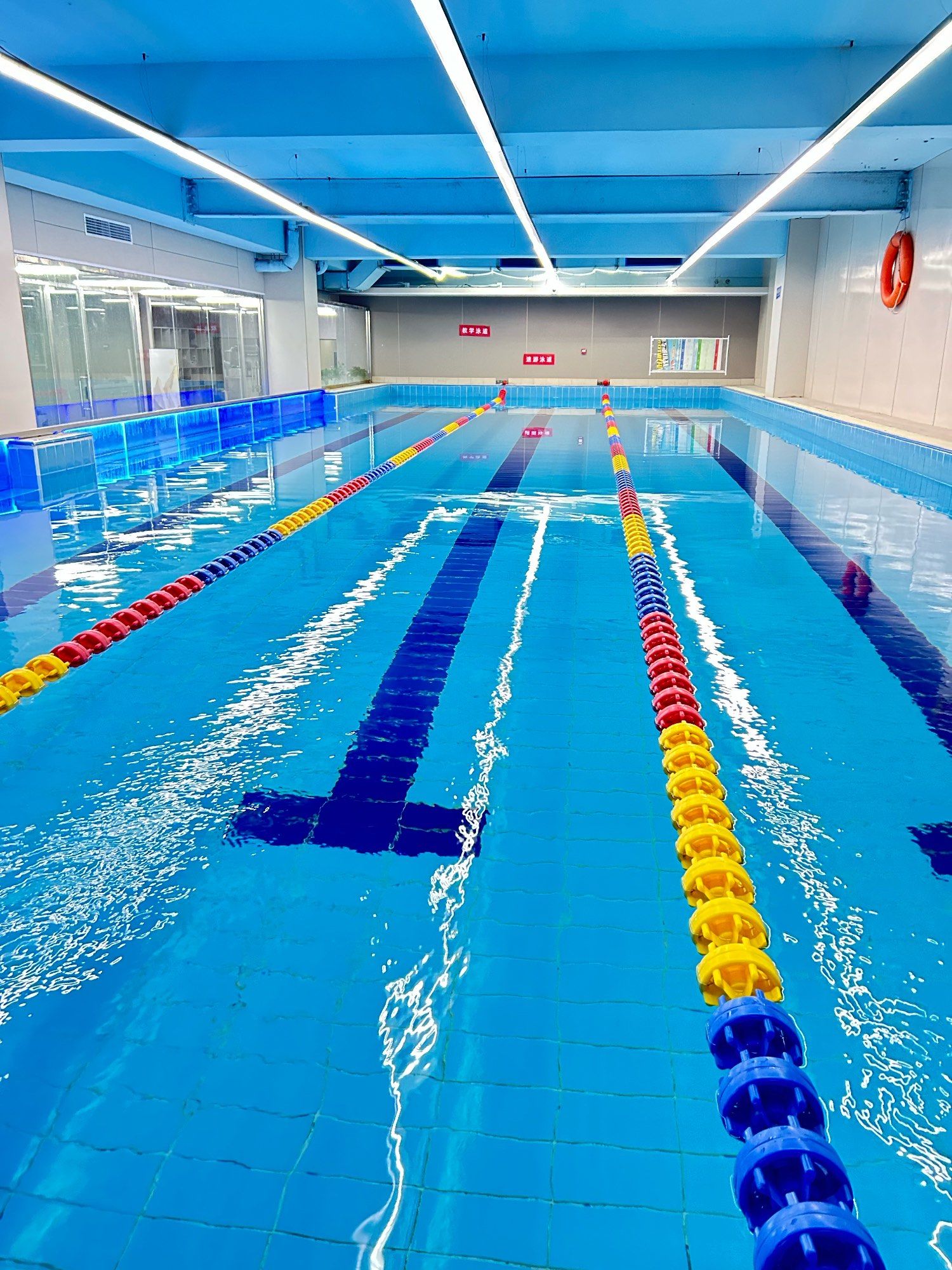 这家泳池真的绝了!