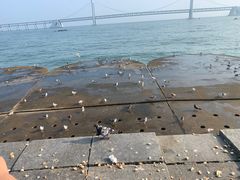 -星海广场