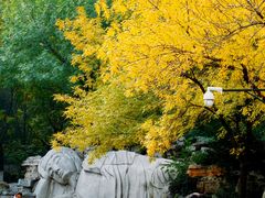 -千佛山风景名胜区