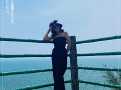 -广东惠东海龟国家级自然保护区