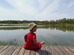 -东郊湿地公园