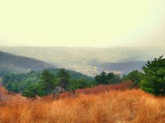 android_upload_pic-高尔山公园