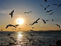 -老虎石海上公园