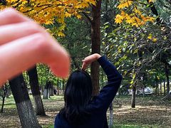 -长白岛森林公园