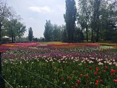 -国家植物园南园