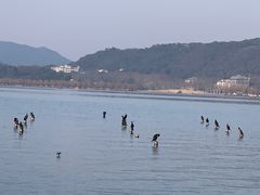 -西湖游船