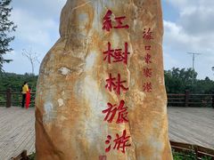 -东寨港红树林旅游区