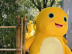 -南宫五洲植物乐园