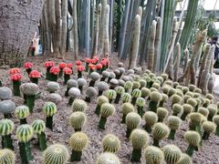 -南山植物园