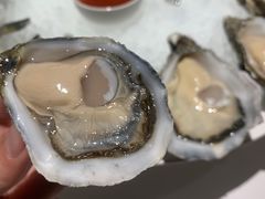 -Oyster Talks 四度蚝法餐厅