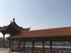 景点-洛龙公园