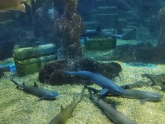 -海合安青岛极地海洋公园