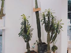 -收获咖啡HARVEST RESERVE(苍山店)