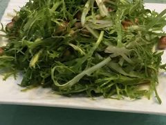 果仁苦菊-津菜宋记老房子(平山道店)