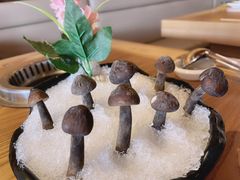 鸡纵菌-尚海豆捞(乐虹坊店)