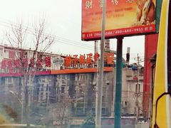 -柿子树炭烤羊腿(金台路店)