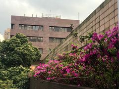 -香港大学