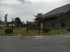 -盐城丹顶鹤湿地生态旅游区