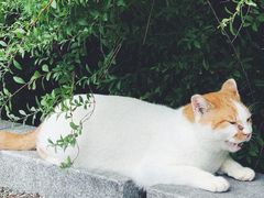 -京都御所