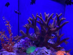 -多彩贵州城极地海洋世界