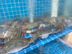 -叶存利海鲜大馅饺子(东戴河止锚湾店)