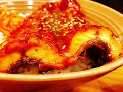 -一本钓鲔鱼屋