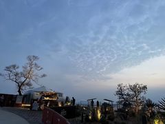 -Brew Farm·精酿农场海滨悬崖餐厅