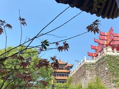 -黄鹤楼公园(黄鹤楼)